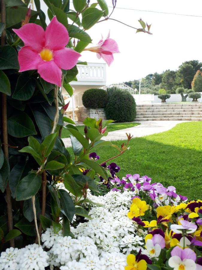Villa Natia Mottola Exterior foto